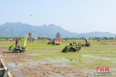 广东“百千万工程”政策效应持续释放 显著带动县域经济